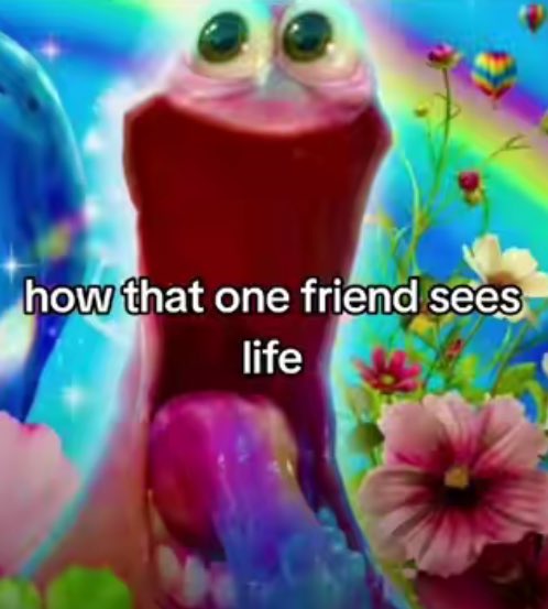 koki🍓 tweet media