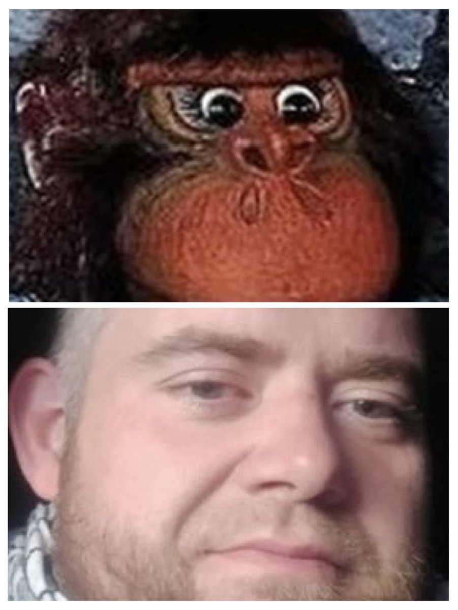 Clima Realismus❤️🇳🇴❤️🇺🇸 tweet media