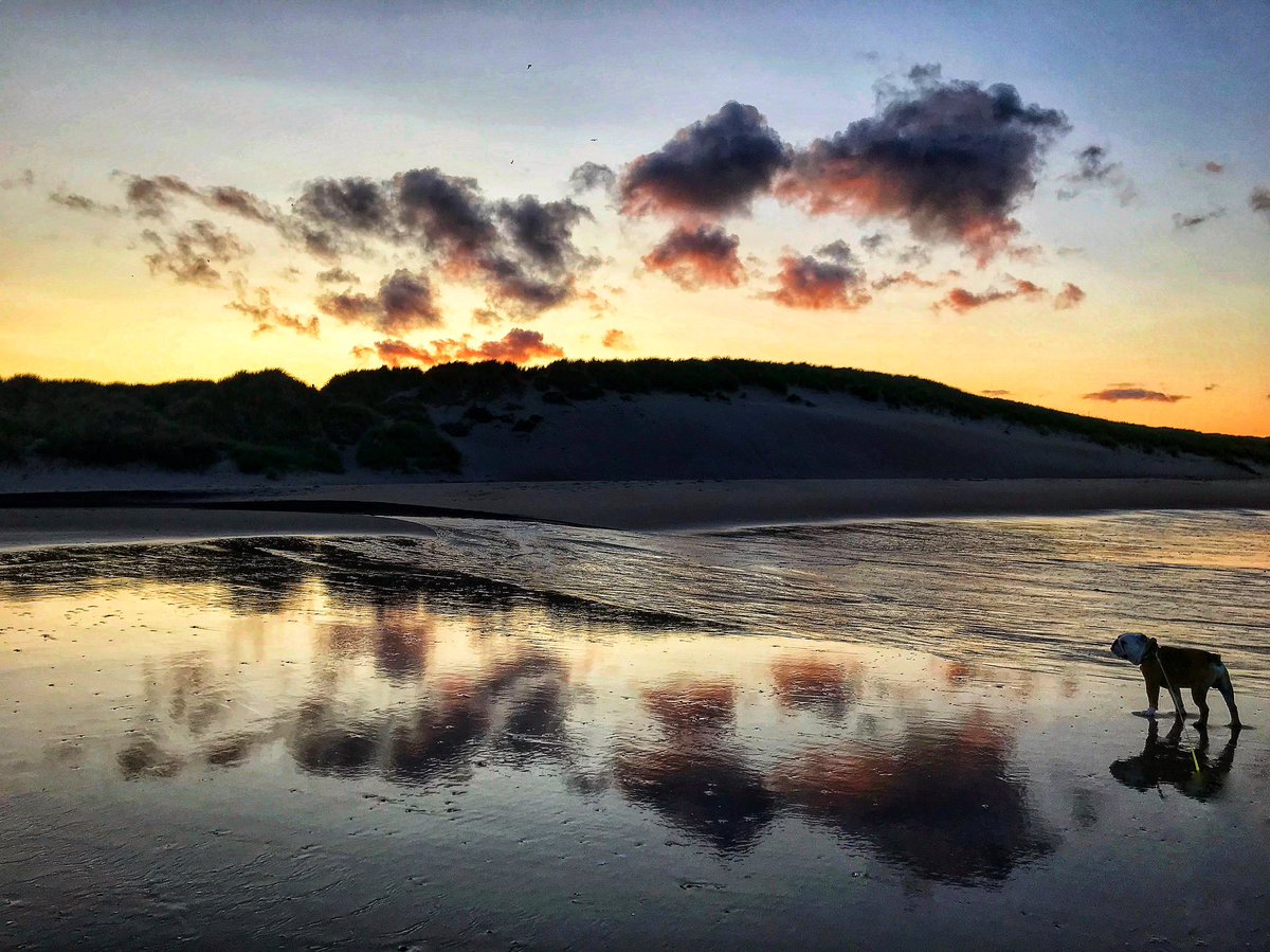 Mark Davis tweet media