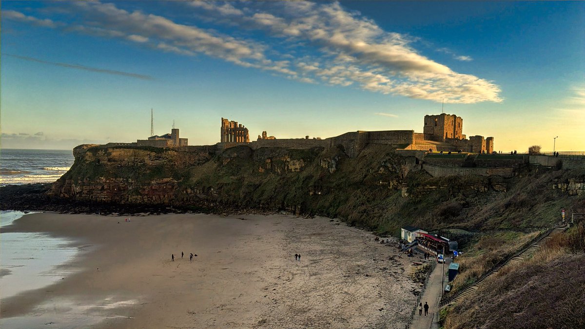 Mark Davis tweet media