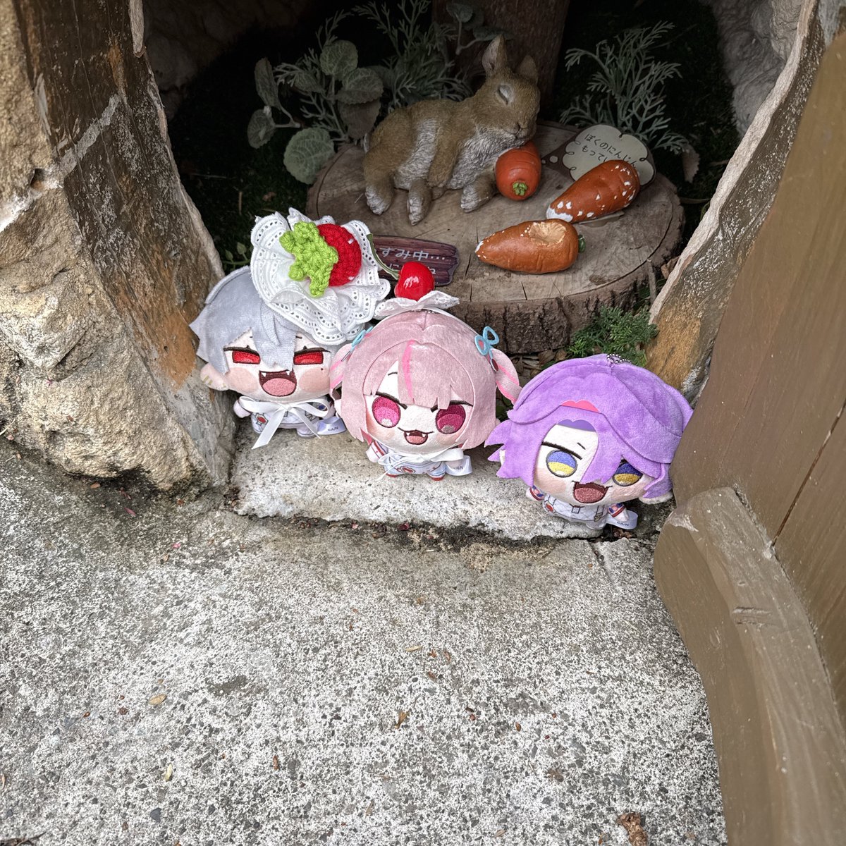 猫魔チュシャ猫@お返事🐢 tweet media