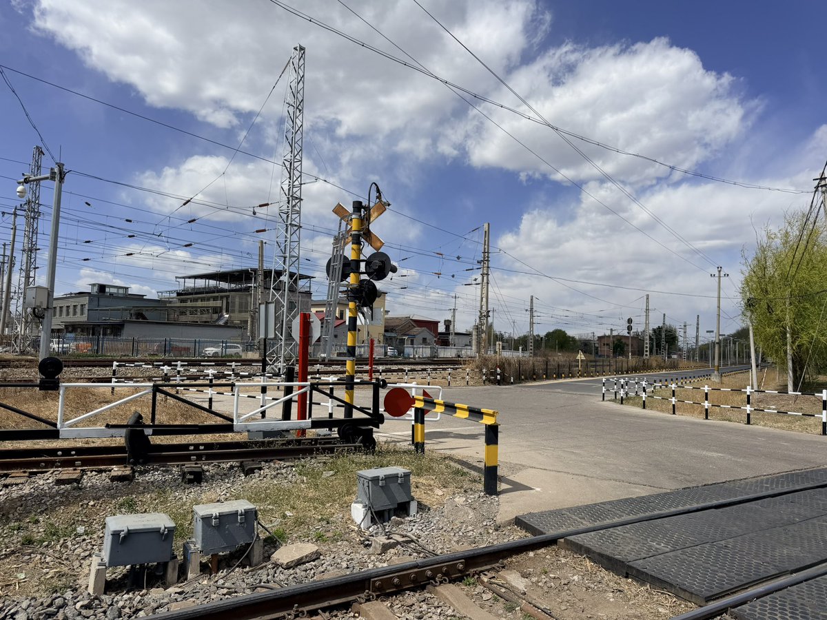 赛博吟游诗人喵丁丁Neko tweet media