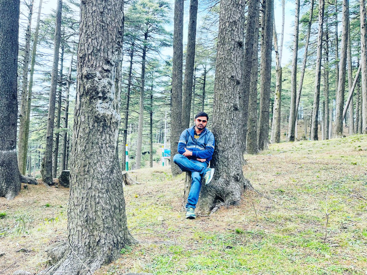 sonurajput10695's tweet image. Feeling pine, everything is fine.!

#NatureVibes #Outdoors #MensStyle #ForestGumpEnergy #WeekendVibes