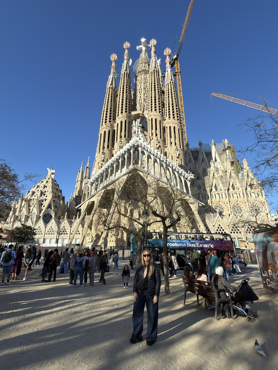 olguiXes tweet media