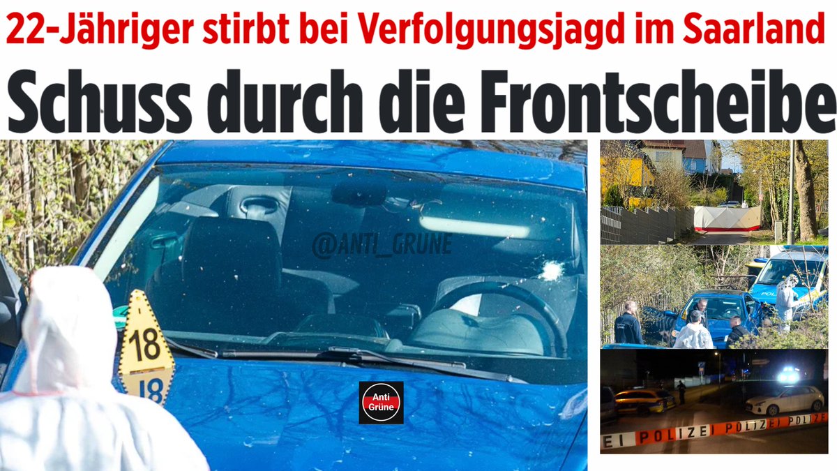 Anti-Grüne tweet media