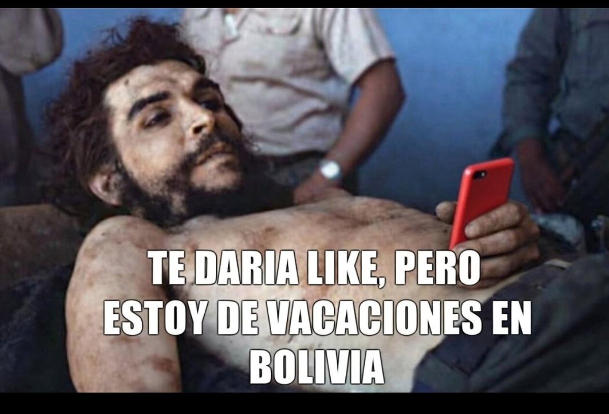 ODDBALL 🇮🇱 tweet media