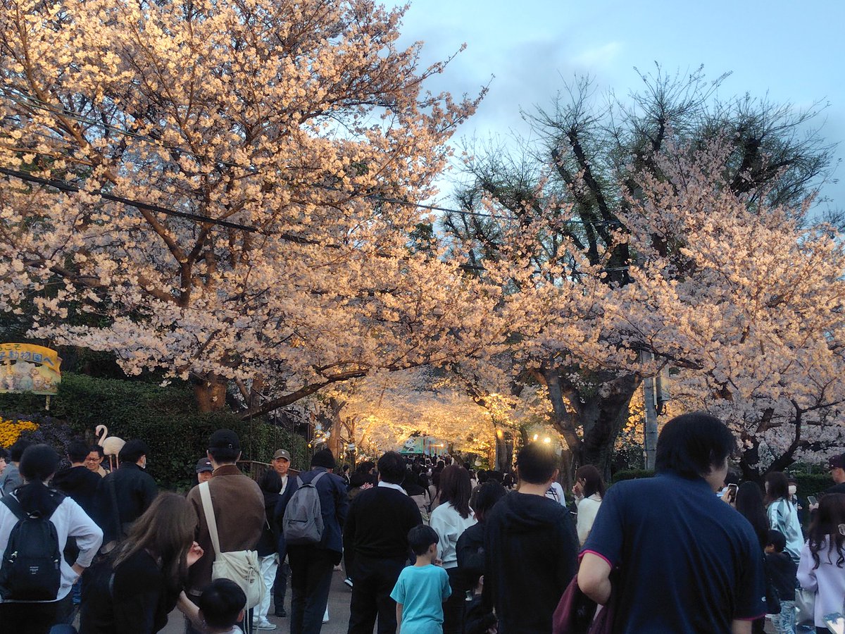 ちゃんみぃ tweet media