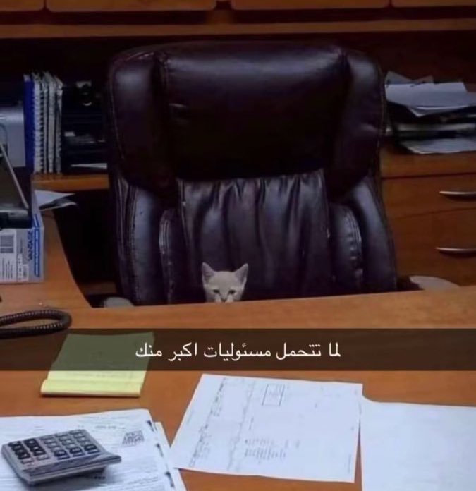 جلجلينه جولي tweet media