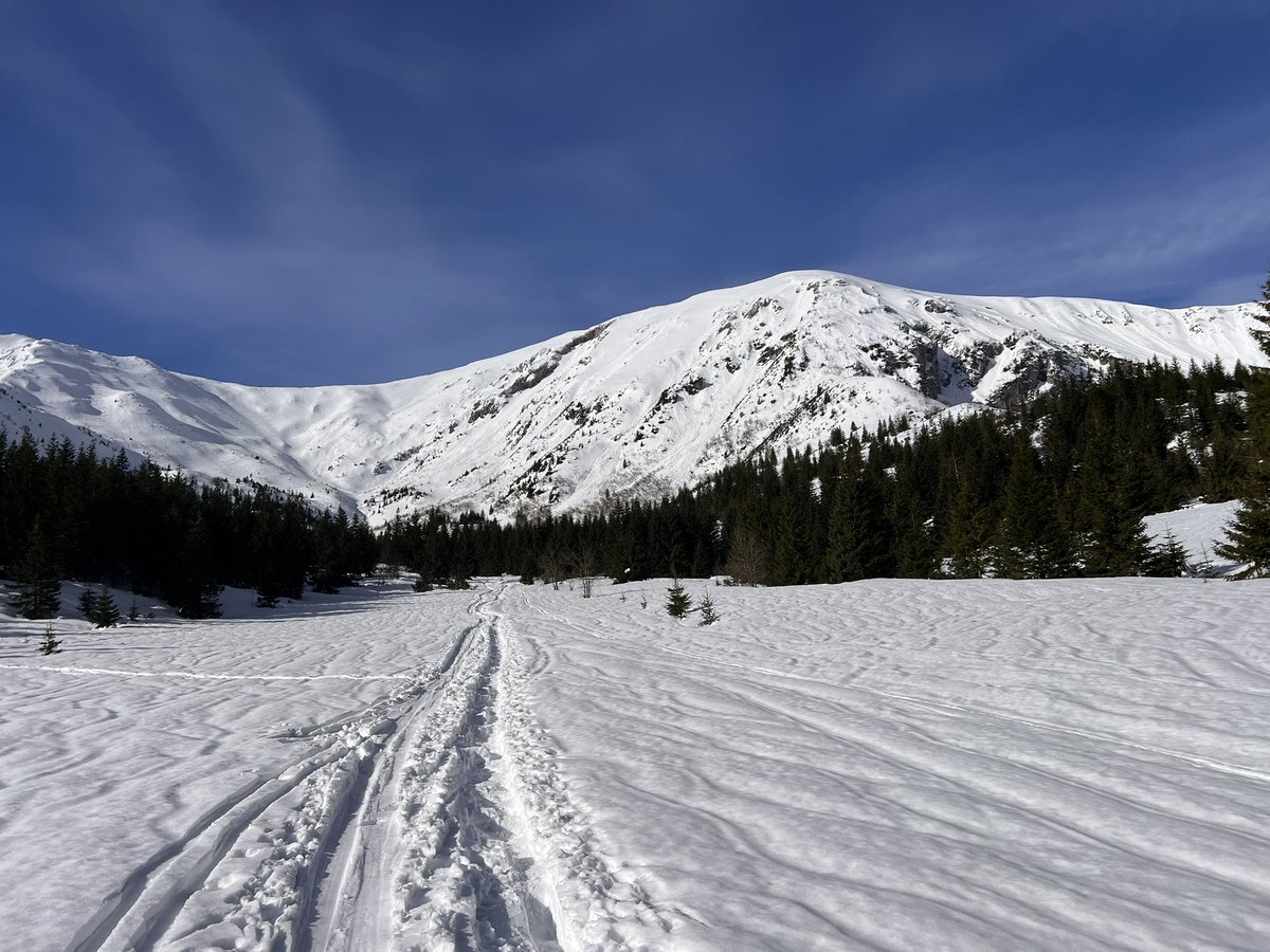 przemyslaw sobczyk tweet media