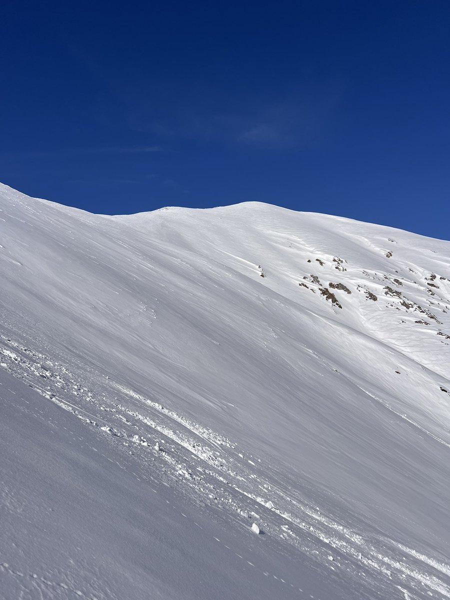 przemyslaw sobczyk tweet media