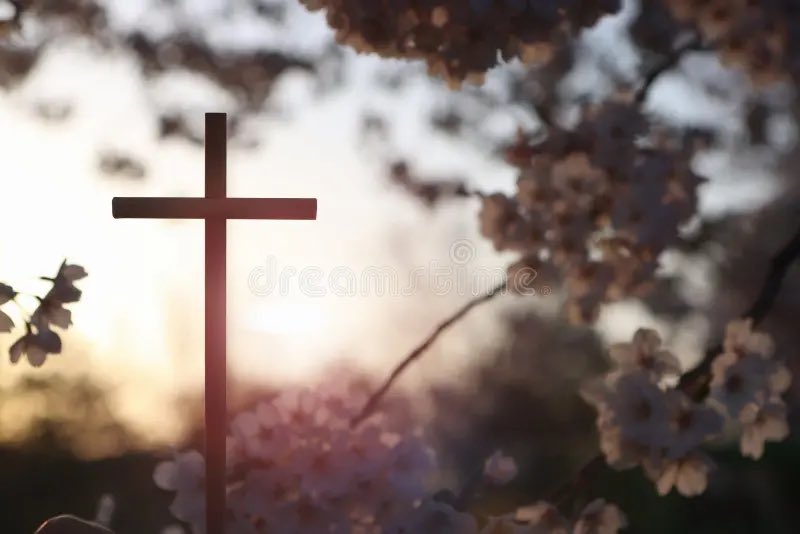 Jean-Philippe Tanguy Ⓜ️ tweet media