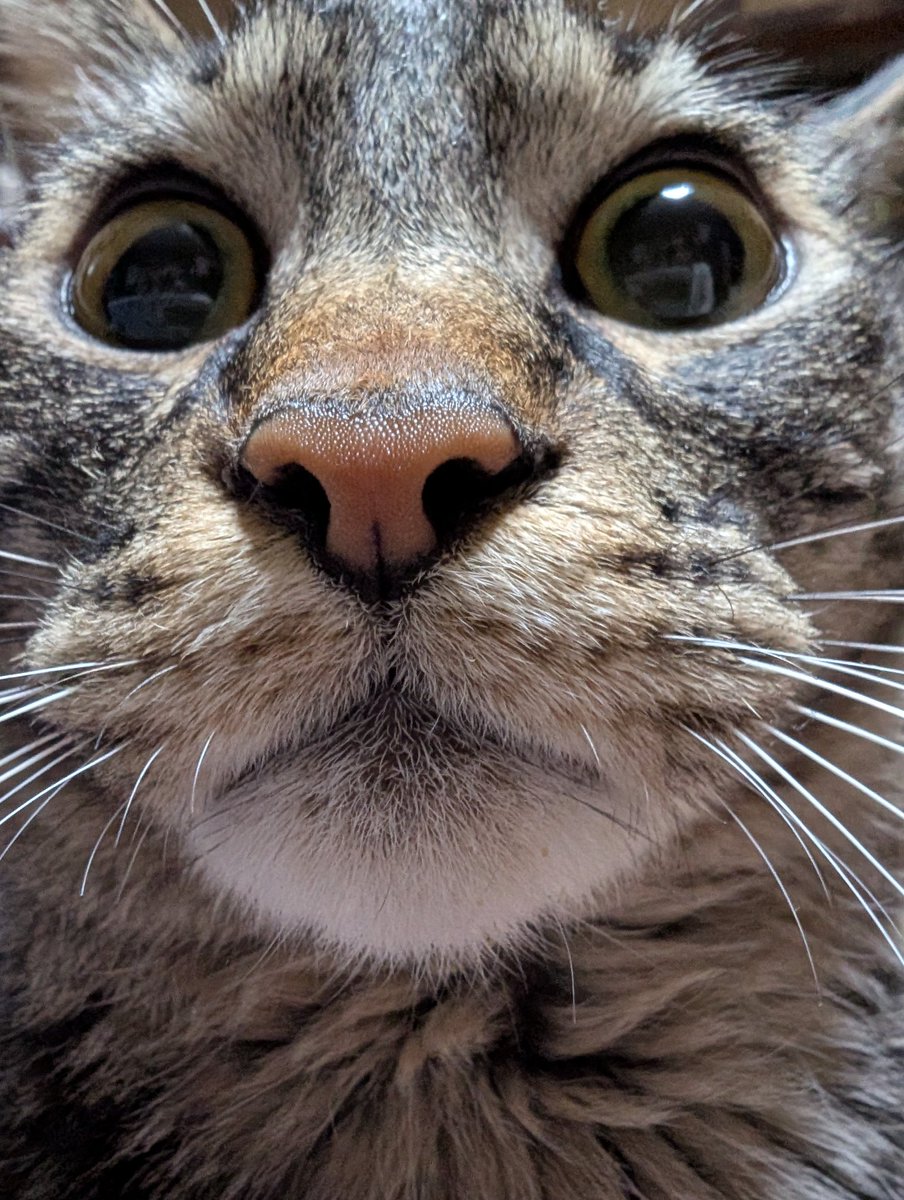 あきよし tweet media