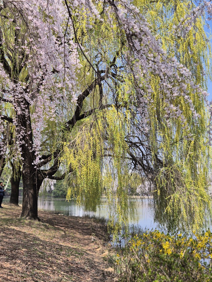 일칠오 tweet media