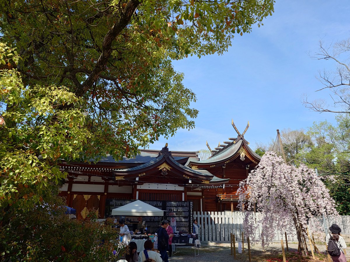 Taitirow❄TP OK tweet media