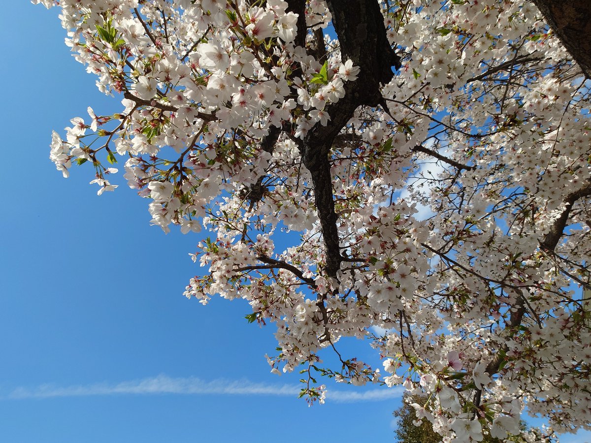 Taitirow❄TP OK tweet media