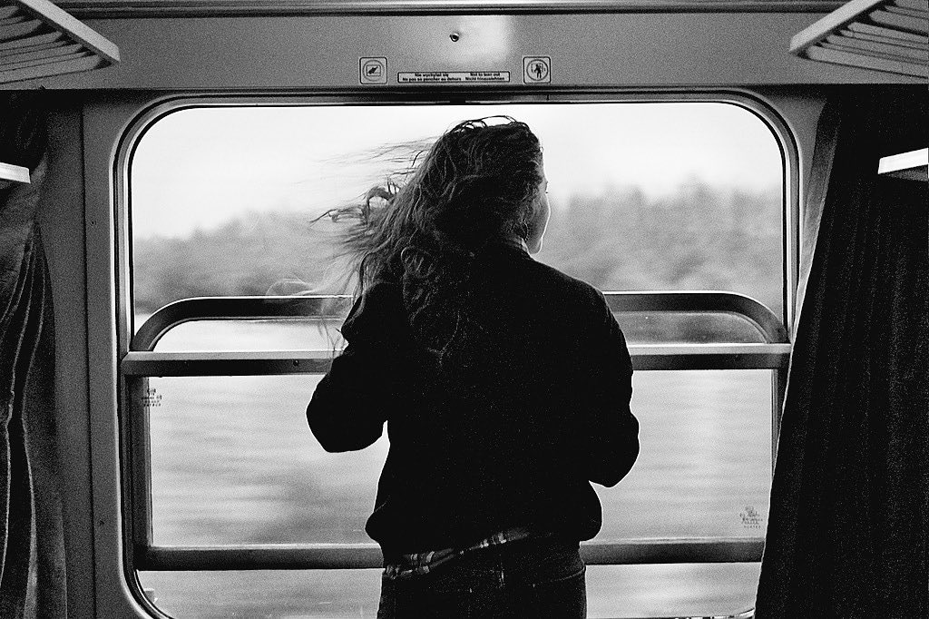 Fuzûlî 🔻 tweet media