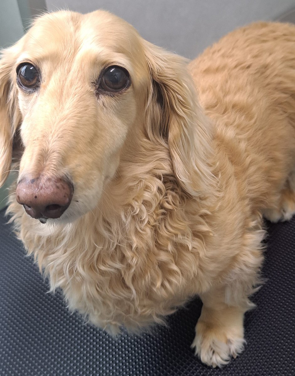 まこと。 tweet media