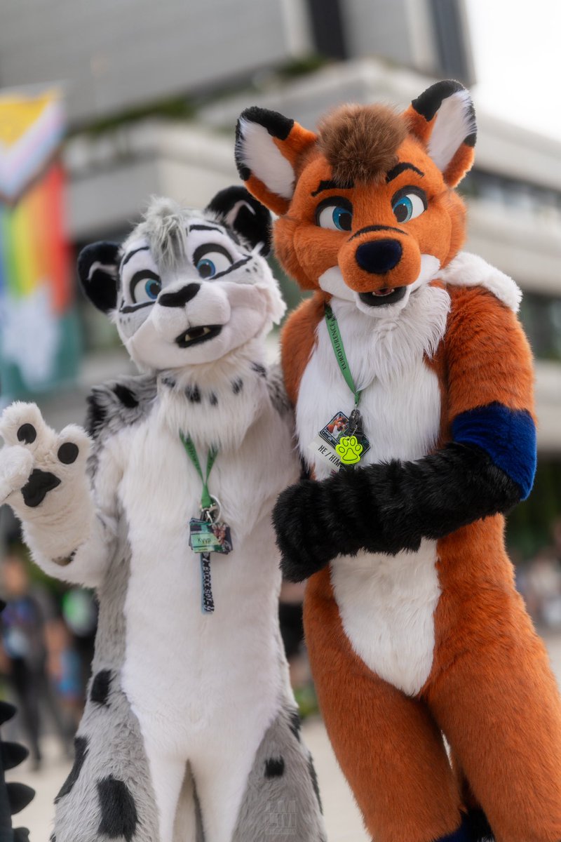 xavoto_fox's tweet photo. 🦊+🐱 https://t.co/cwBWHPFX00
