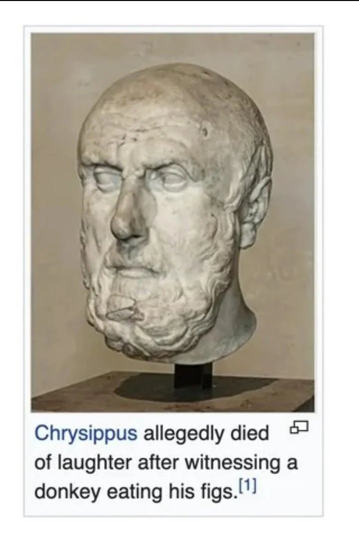 OlgarasWorkshop tweet media