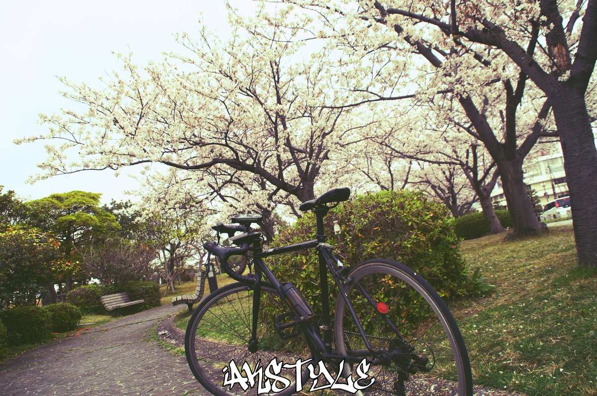 Sombra_fd3s's tweet photo. #AKstyle
桜撮れて良かった https://t.co/y2uJQxguz5
