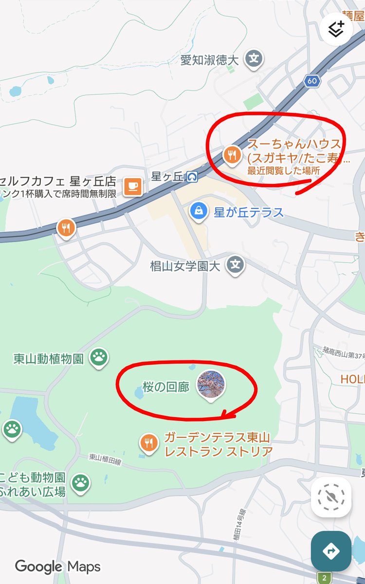 focaっ茶 (ふぉかっちゃ) tweet media