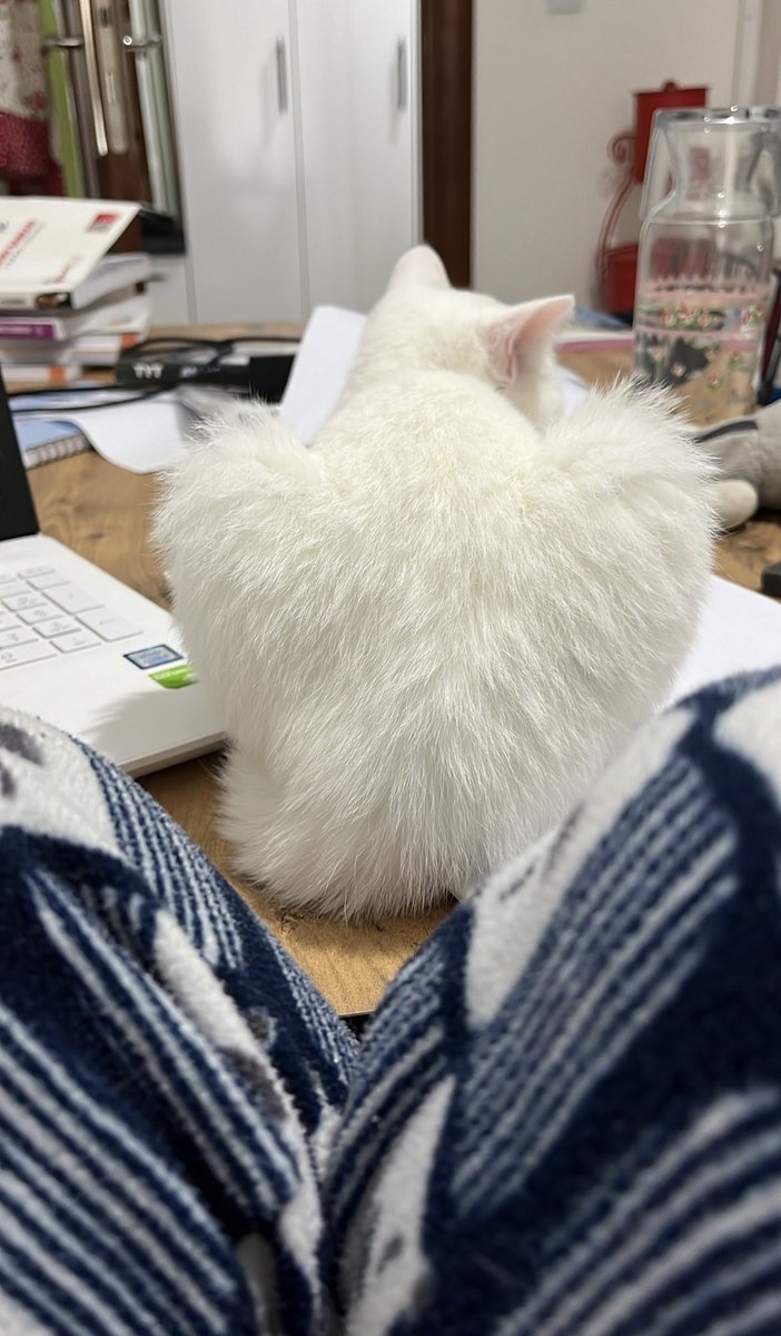 julide006's tweet photo. @beehaber Biz bunu 2 sene önce yaptık🐾🤍 https://t.co/IkxrxkEgi5