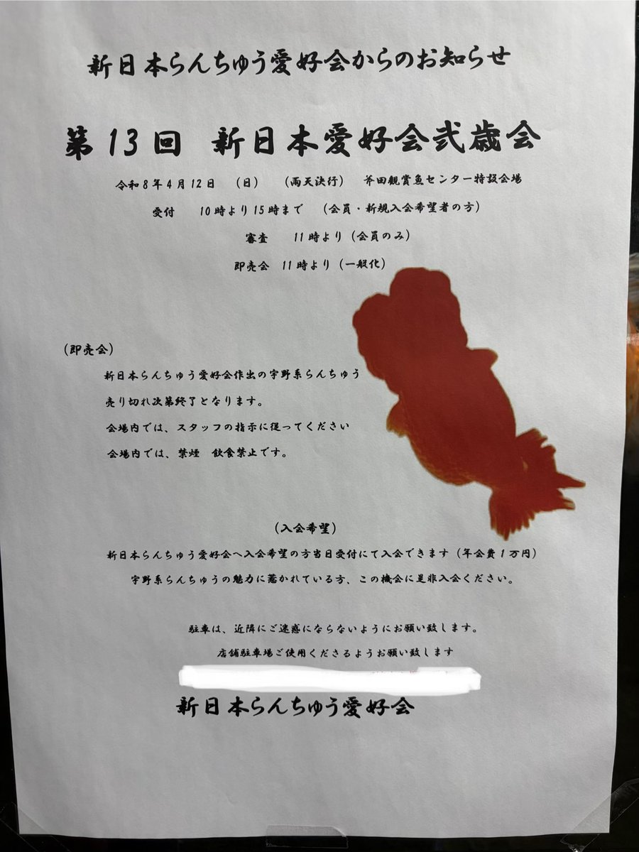 [新日本らんちゅう愛好会]からのお知らせです。

4/12(日)斧田観賞魚センター特設会場にて
新日本らんちゅう愛好会　二歳会が開催されます。

11時から即売会も開催予定です😆
女性人気も高く可愛い宇野系😍
見学だけでも楽しめると思いますよ🤗

#新日本らんちゅう愛好会 #宇野系らんちゅう