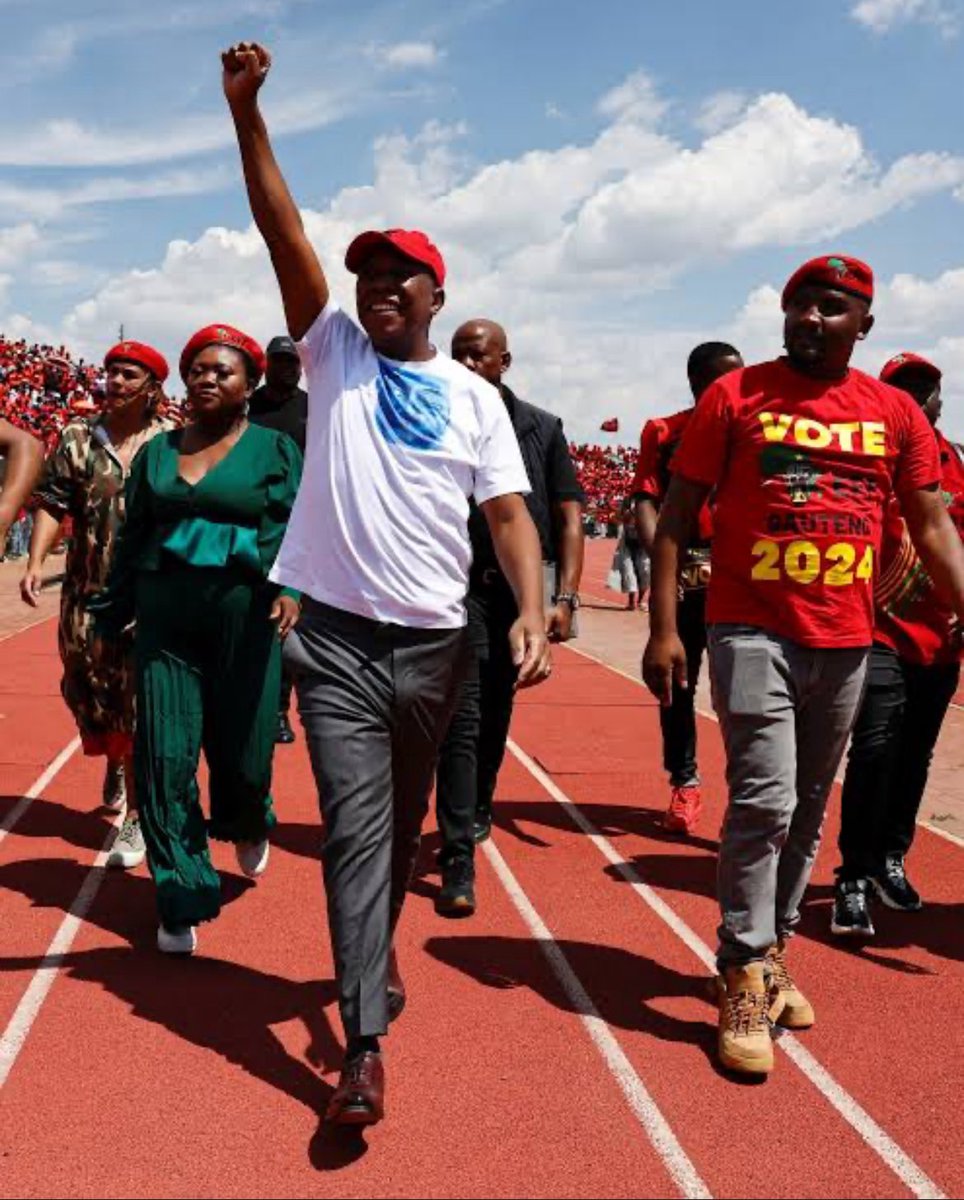 Cuttie Cats 🐱 tweet media