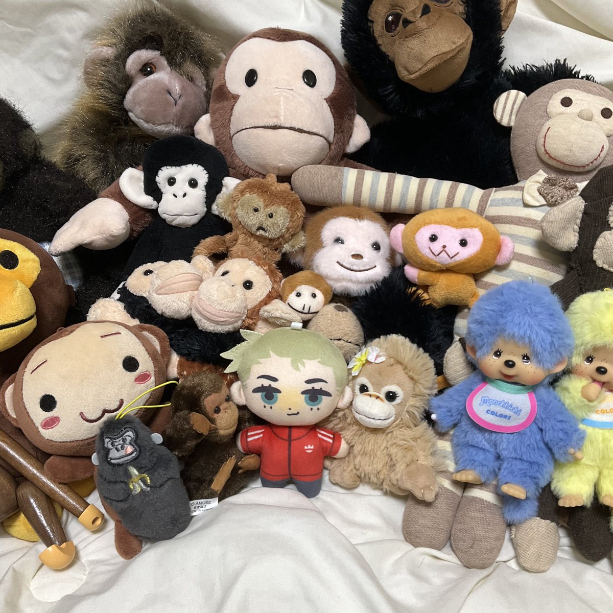 멧도요 tweet media