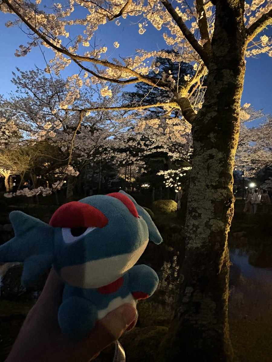 ぼーまんだをたおしたい tweet media