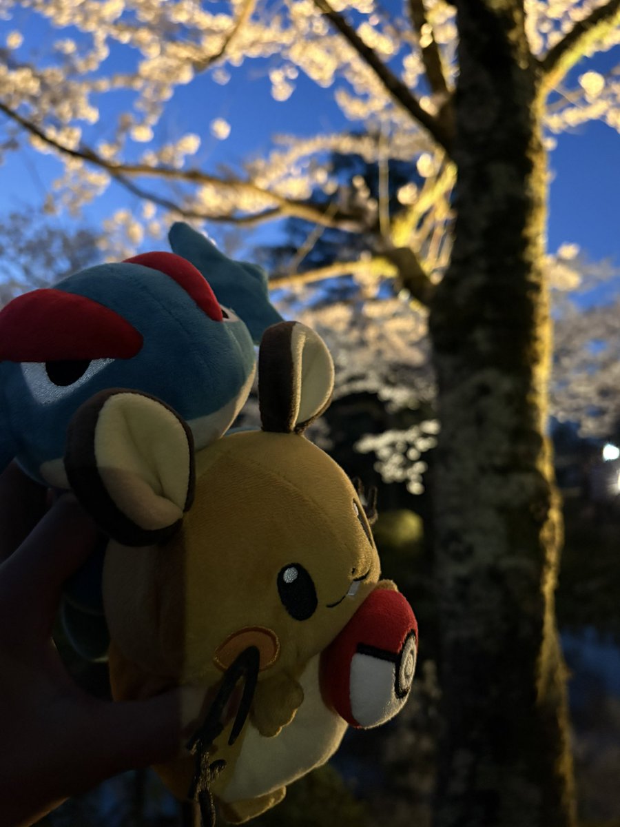 ぼーまんだをたおしたい tweet media