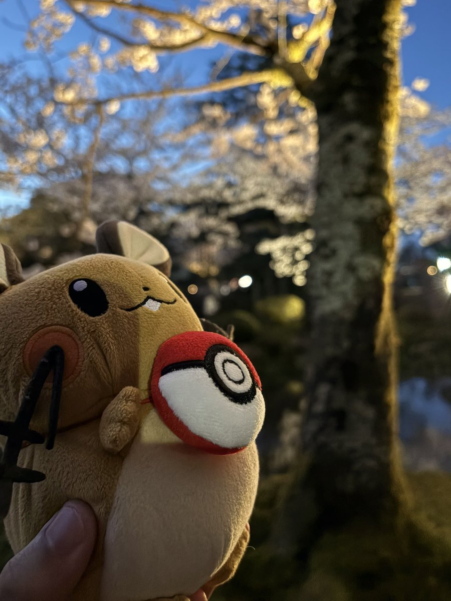 ぼーまんだをたおしたい tweet media