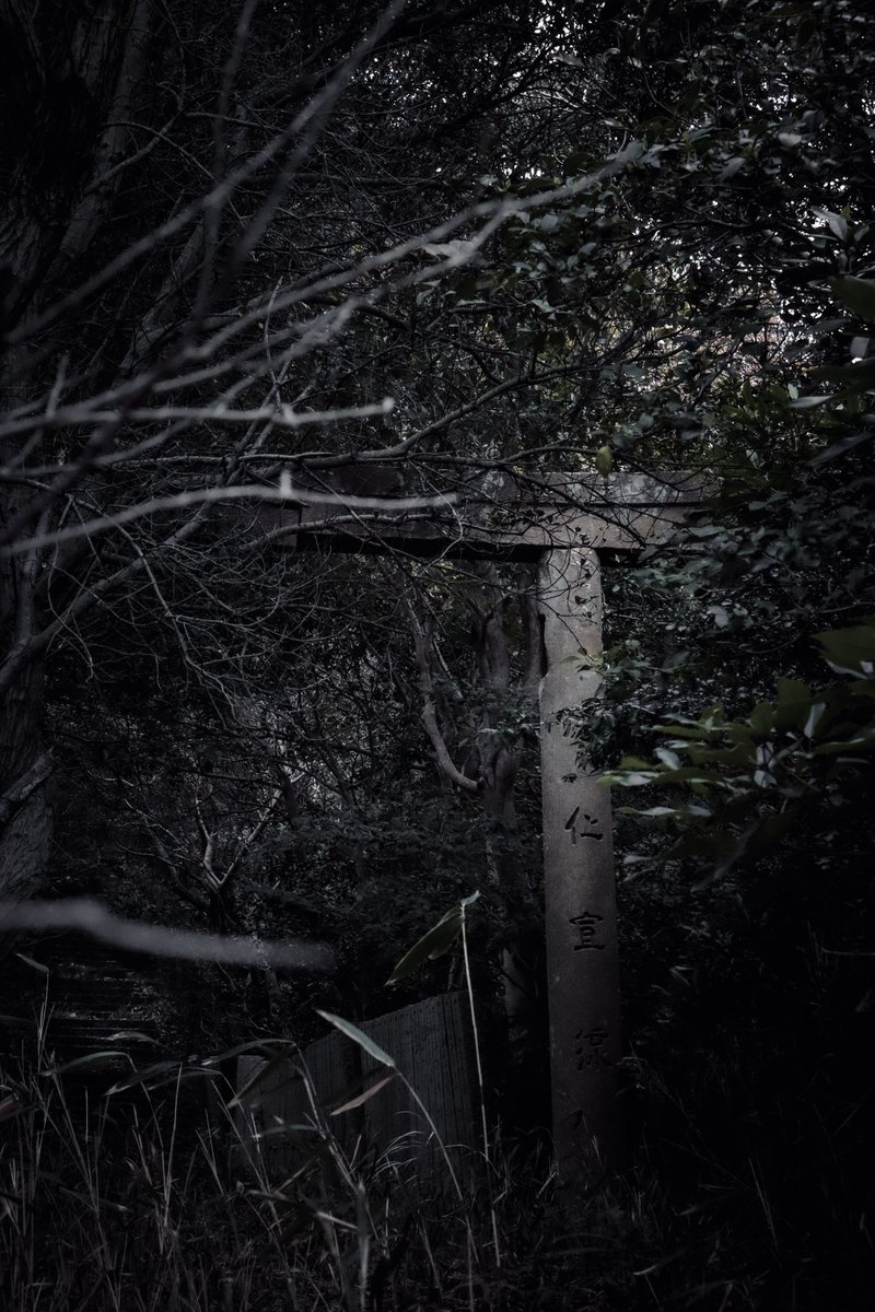 しどろ tweet media