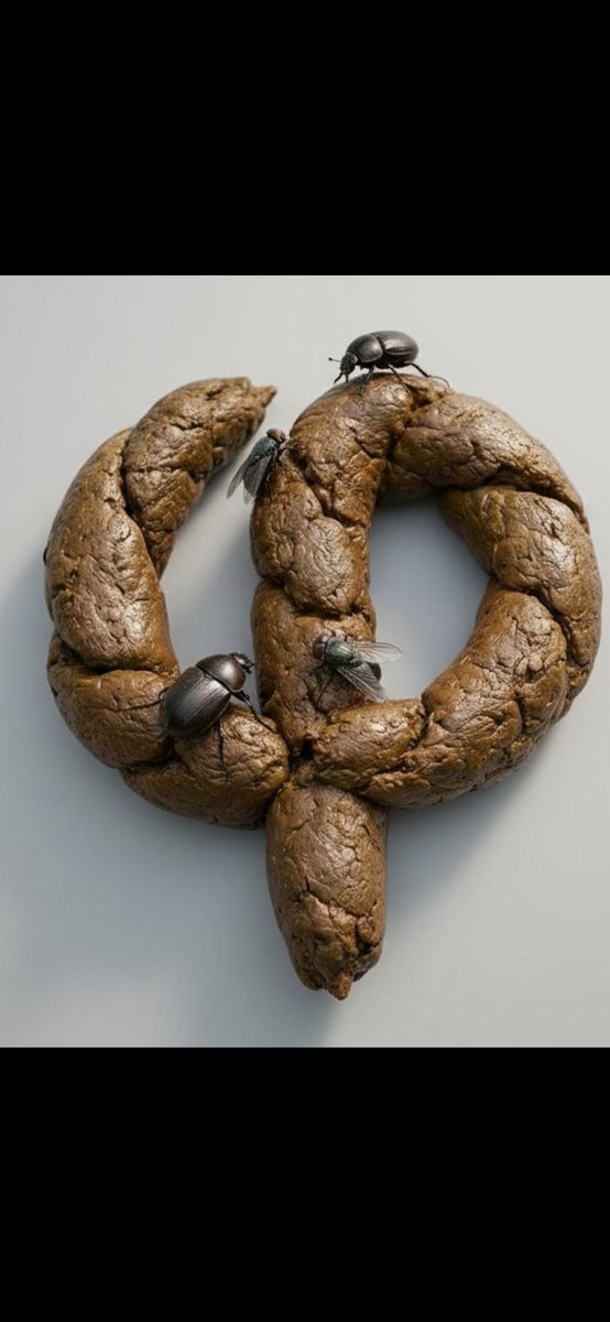 quatrevingtcinq vendee tweet media