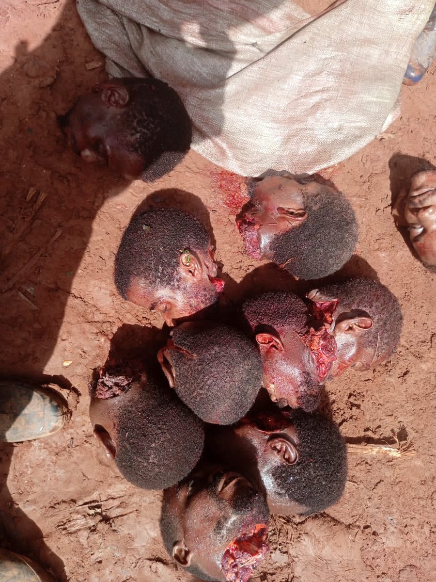 Zacharie Kingombe 🇨🇩 tweet media