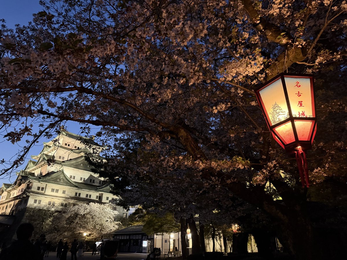 ちょこ🐬 tweet media