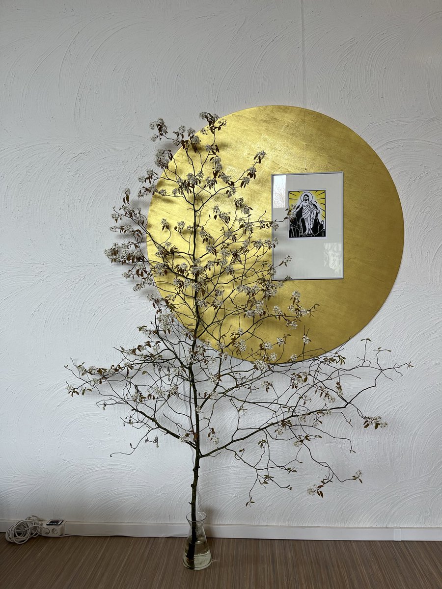 Maarten Devant tweet media