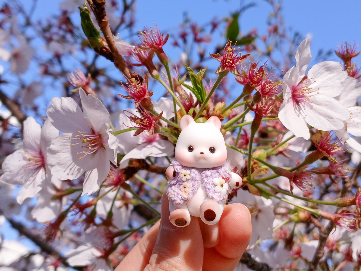 🍀R.a.n/란🍀 tweet media