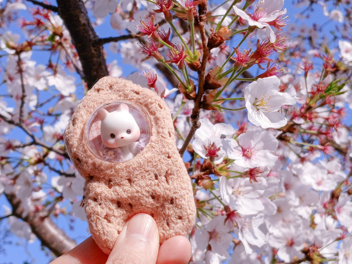 🍀R.a.n/란🍀 tweet media