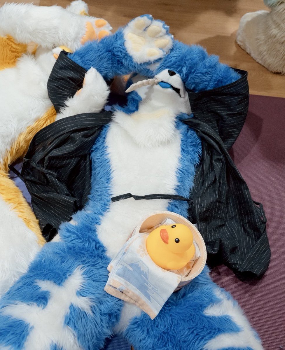 ゼーオス tweet media