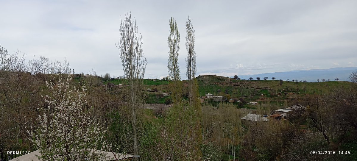 Kimdir🙃💜 tweet media