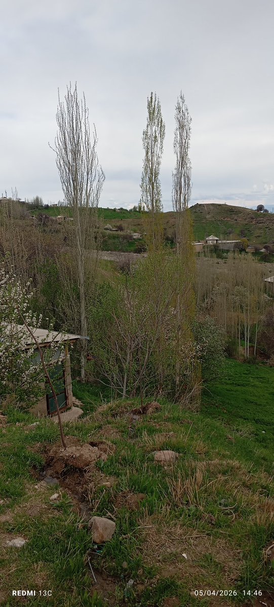 Kimdir🙃💜 tweet media