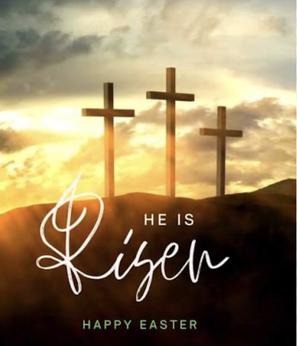 Saddlersgirl tweet media