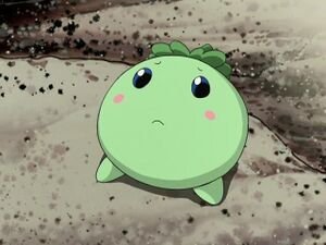 🐉⚓戌神クマ⚓🐲 tweet media