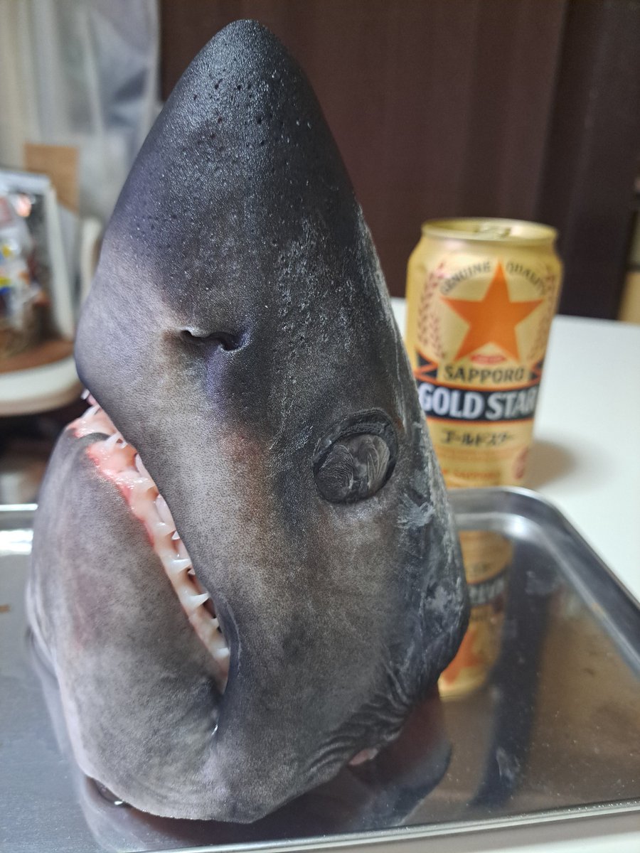 深海魚発信基地｢WELCOME.deepseabase｣ tweet media