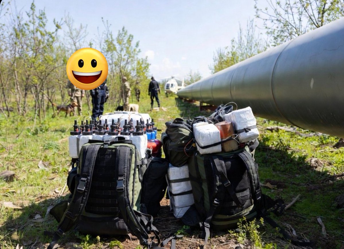 Objektivna(Neda Perić) tweet media