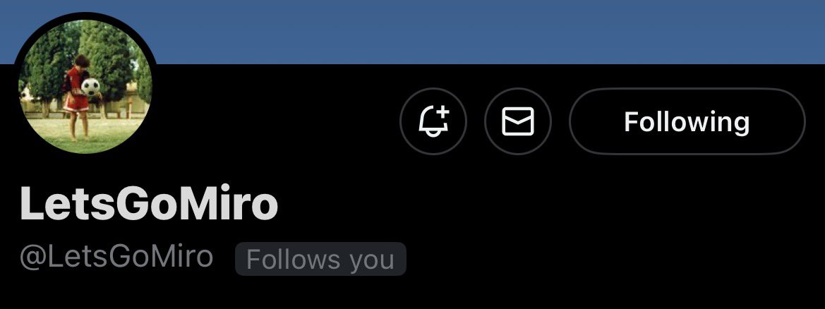 bostonthecat tweet media