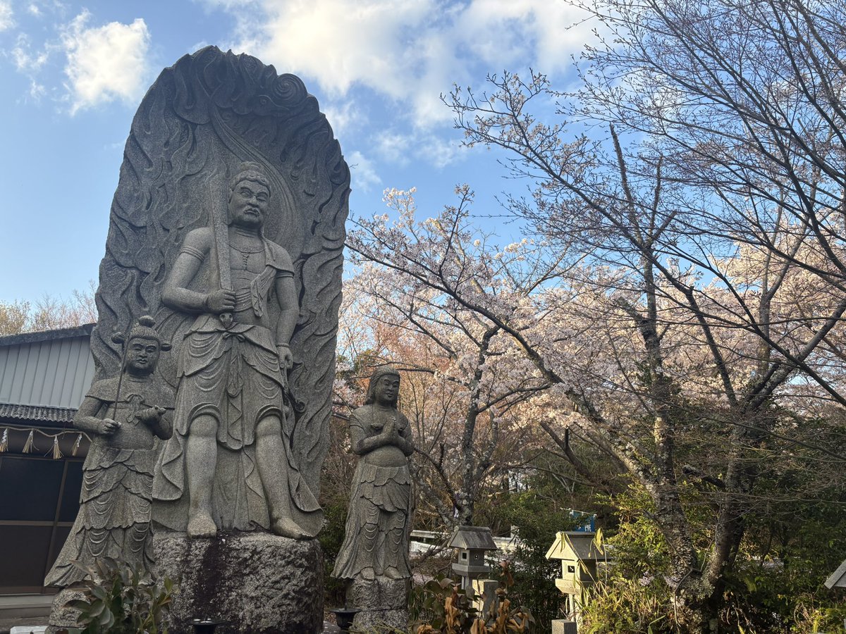TagaOomine's tweet photo. 本日四月の第一週の護摩供を修しました。
二十四節気は【清明】に入り過ごしやすい気候の中万灯呂山も桜が満開です。本日はお花見に出られた方も多かったのではないでしょうか。仏様のお花にも桜を添えてお供えいたしました。
#万灯呂山　#萬燈籠山不動堂　#護摩　#修験道 https://t.co/TUw1vWbl16