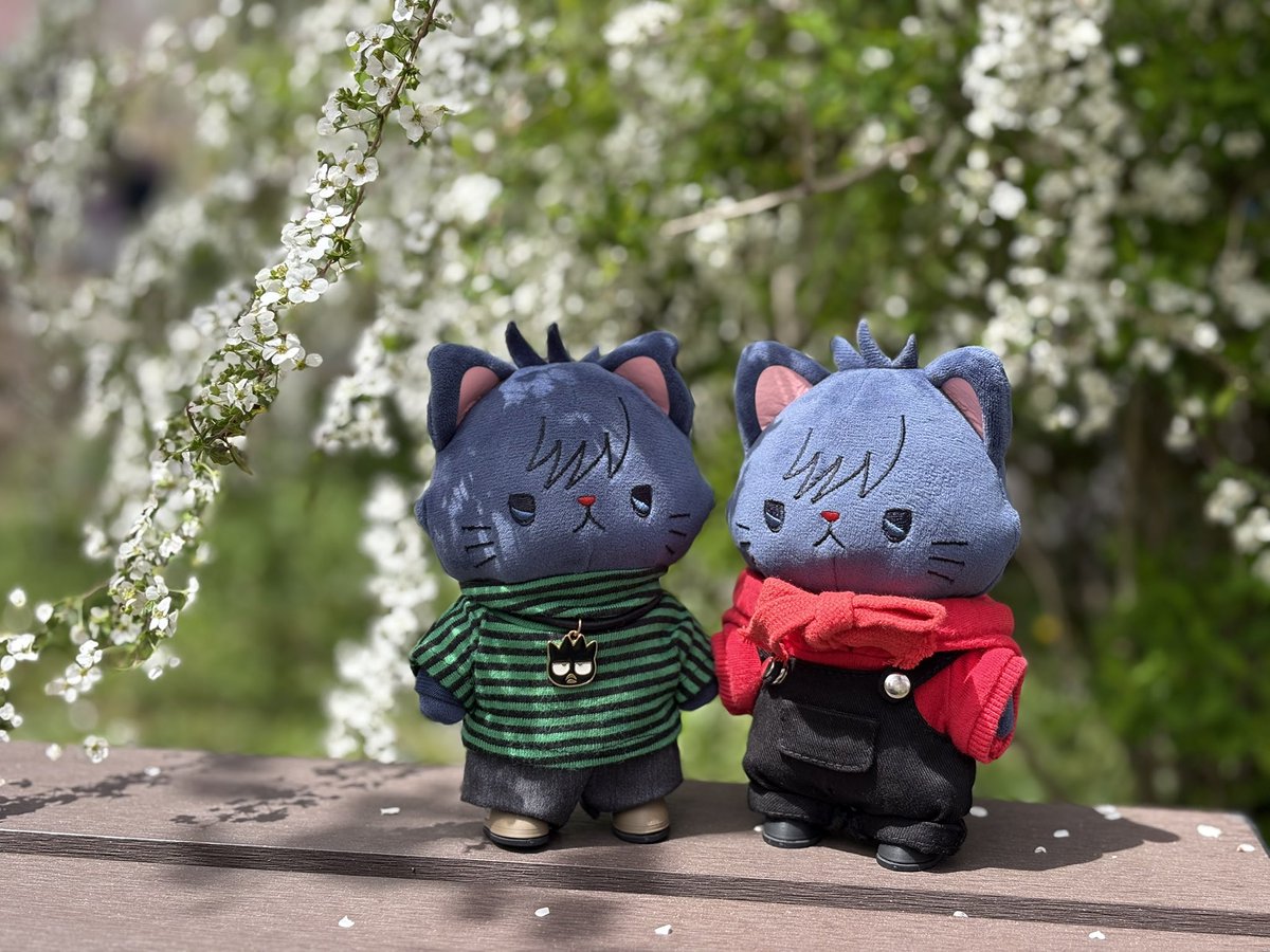 お花見🌸