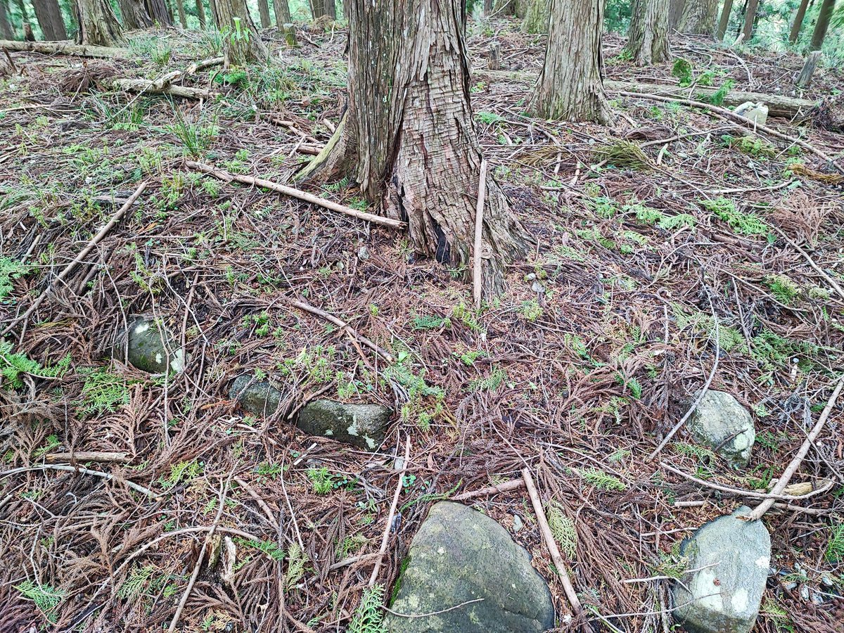 ふうちゃんZ tweet media